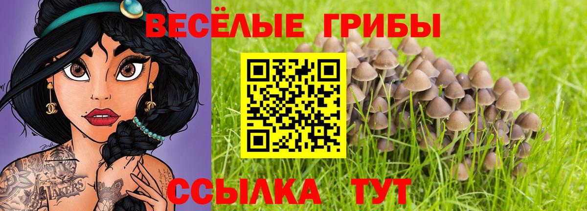 Псилоцибиновые грибы Psilocybine cubensis  Вход с VPN  Мегион  как найти закладки  Галлюциногенные грибы мухоморы 