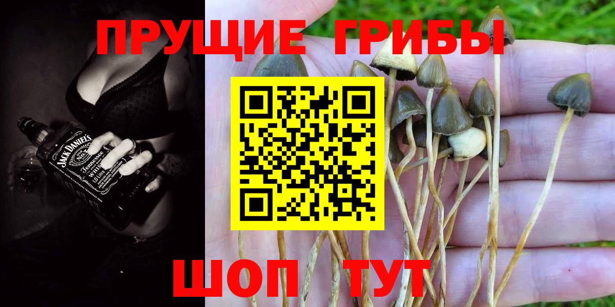Галлюциногенные грибы прущие грибы Мегион